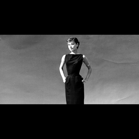 I have a love for rescuing animals and being a mom - Picture 7 of 9